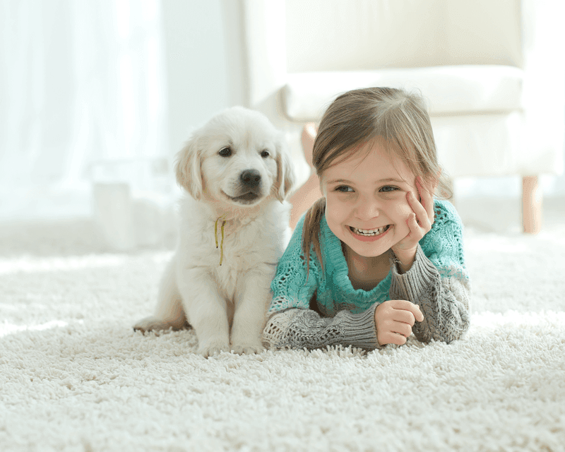 Carpet cleaning in St. Andrews, SC