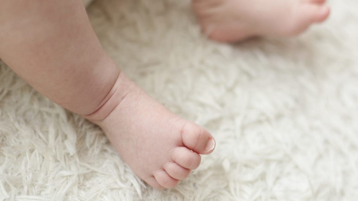 Spring Cleaning Checklist for Irmo Homeowners: Start With Your Carpet